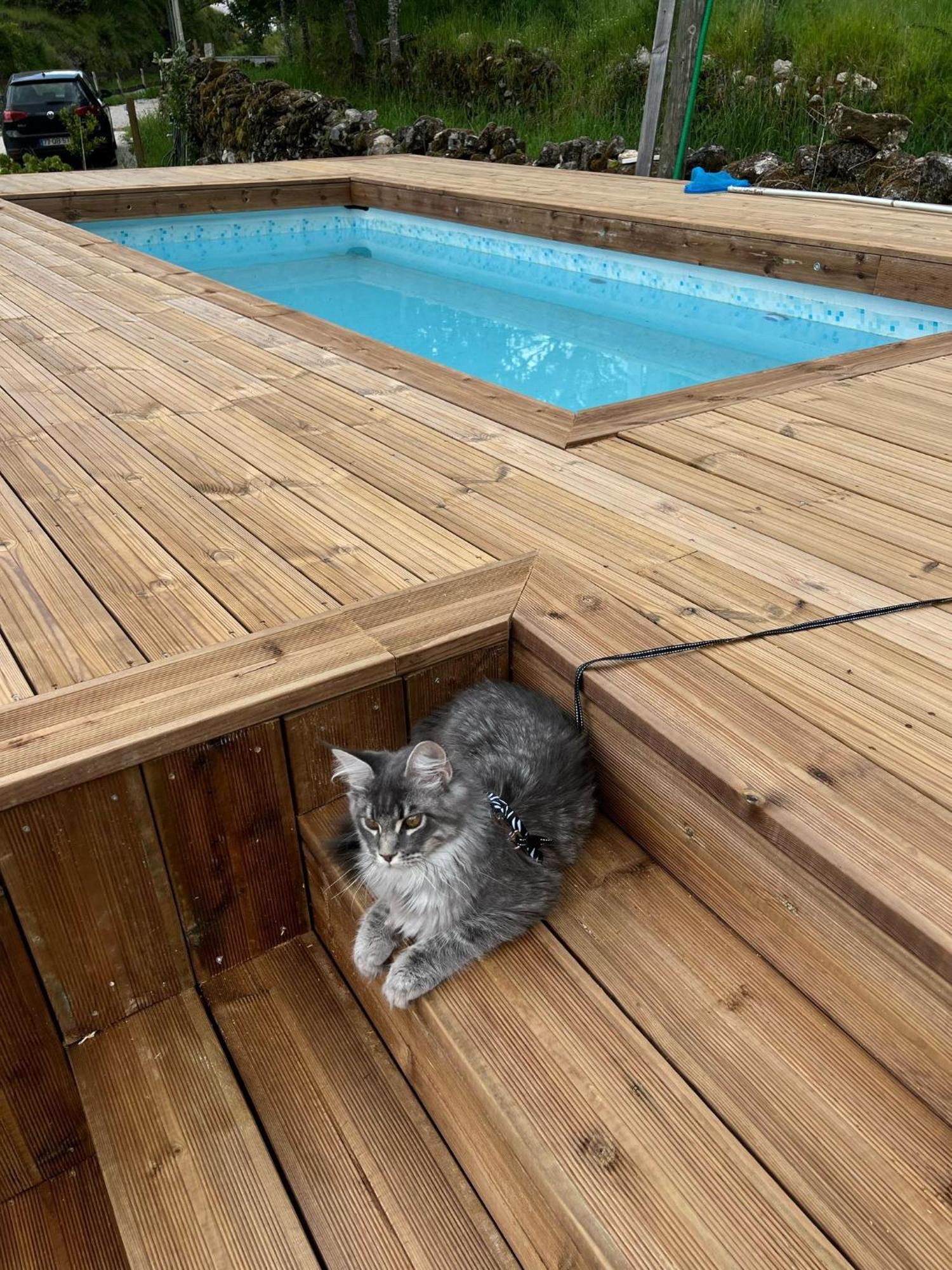 Ohana Geres House Ruivãis Zewnętrze zdjęcie